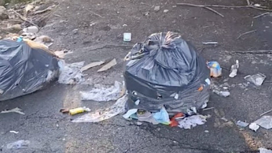 Castelletto Ticino, rifiuti abbandonati nei pressi di un rio